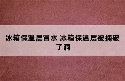 冰箱保温层冒水 冰箱保温层被捅破了洞